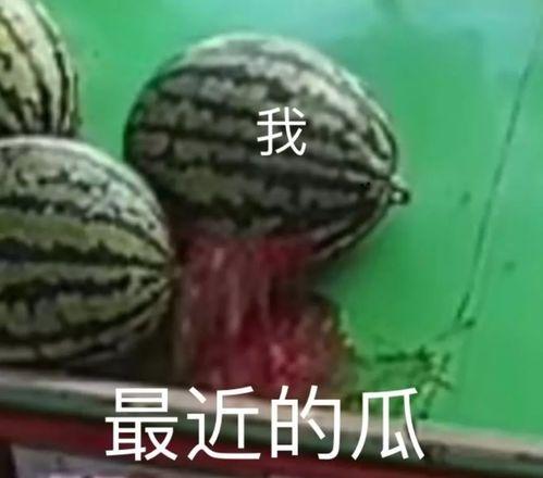 吃瓜汇总在线,盘点娱乐圈最新热点事件